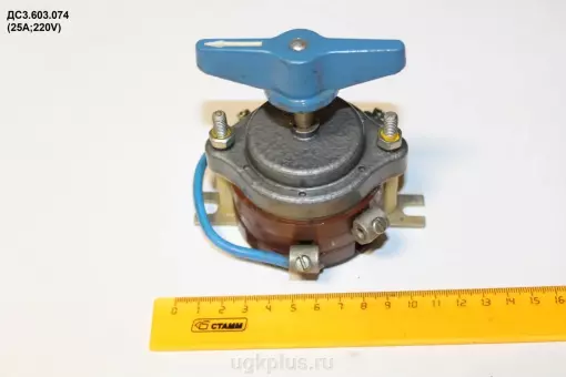 ДС3.603.074 (25А;220V)
