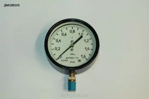 ДМ1001У2 (1,6MPa; кл. т. 1)