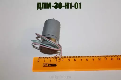 ДПМ-30-Н1-01