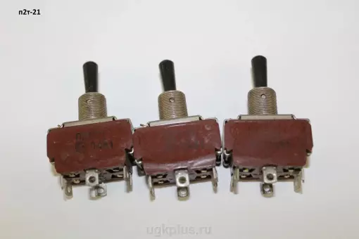 П2т-21